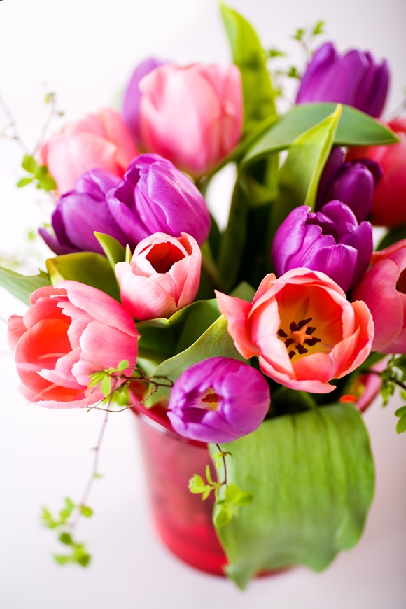 bunch of tulips